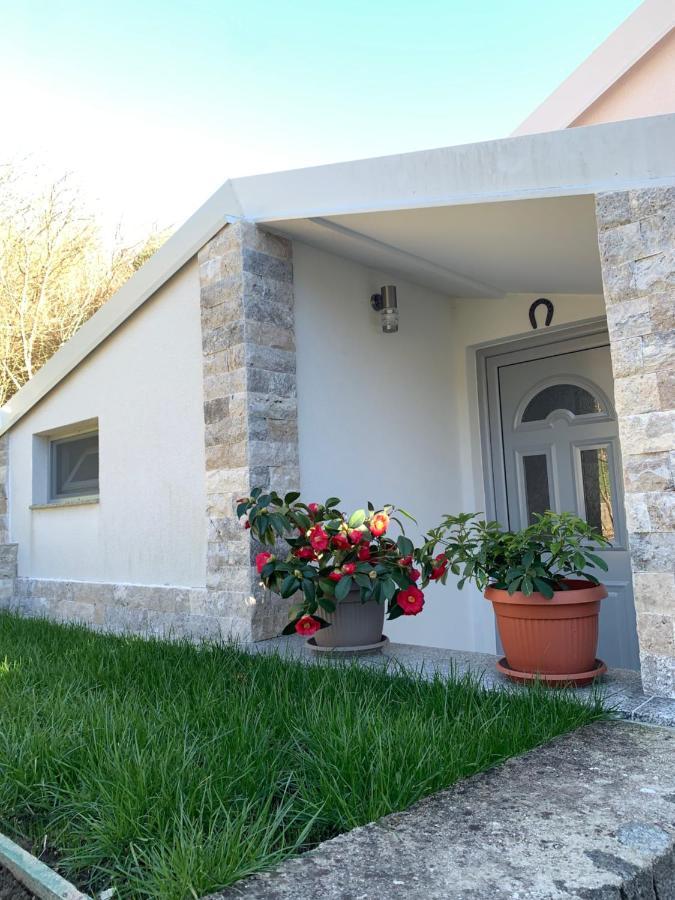Markovic Village Apartments Ulcinj Zewnętrze zdjęcie